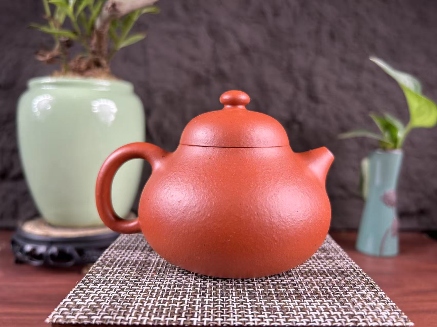 20250812-6-文旦高