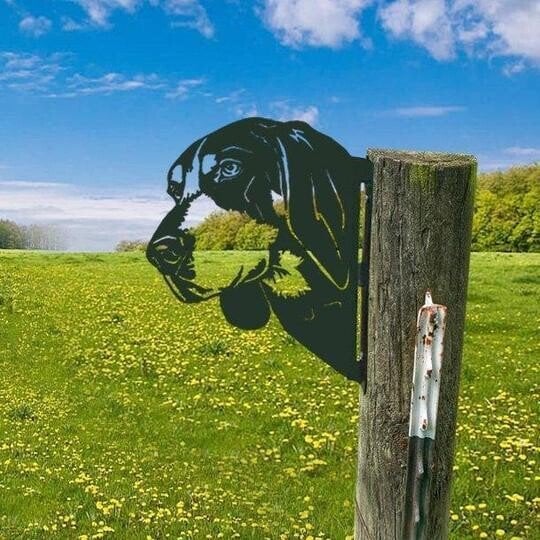 🔥Farm Peeping Animal Metal Art