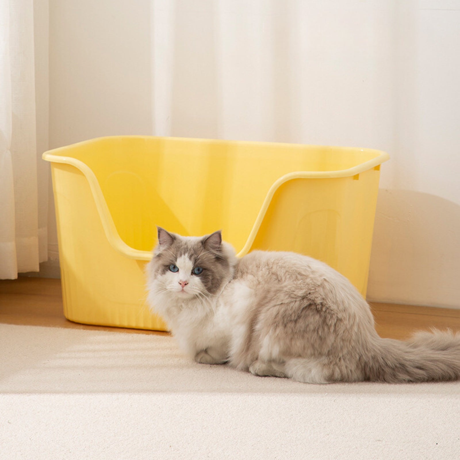 Extra-Large Open Splash-Proof Cat Litter Box