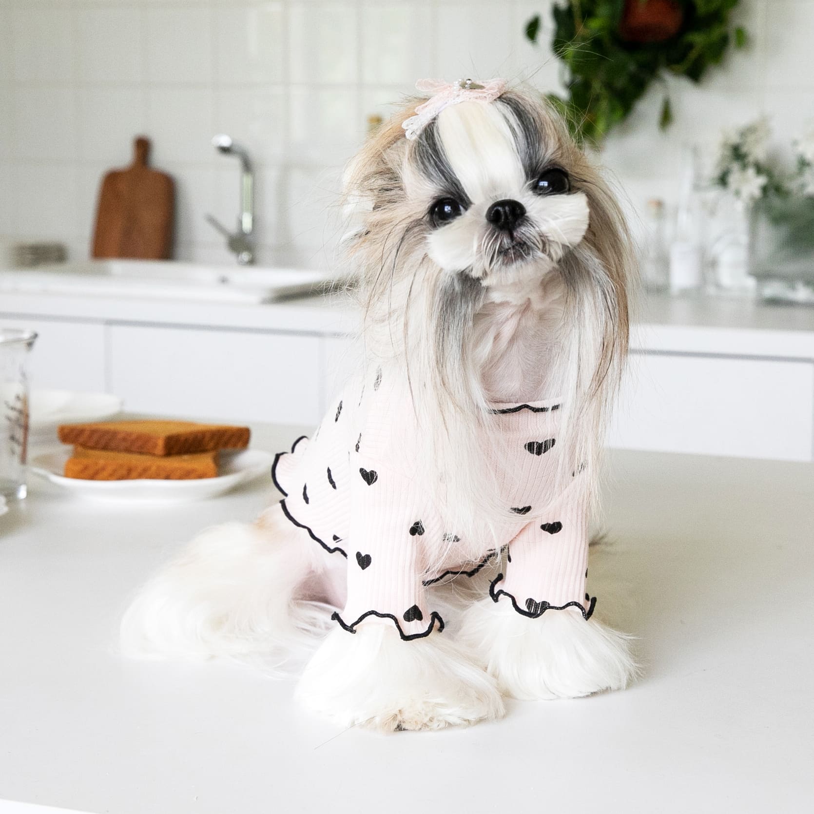 Little Heart Ruffled Dog Cat Sweatshirt