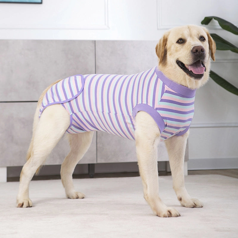 Pet Rehabilitation Clothes Dog Post-surgery Clothes Recovery Back Sterilization Clothes Pet Clothing