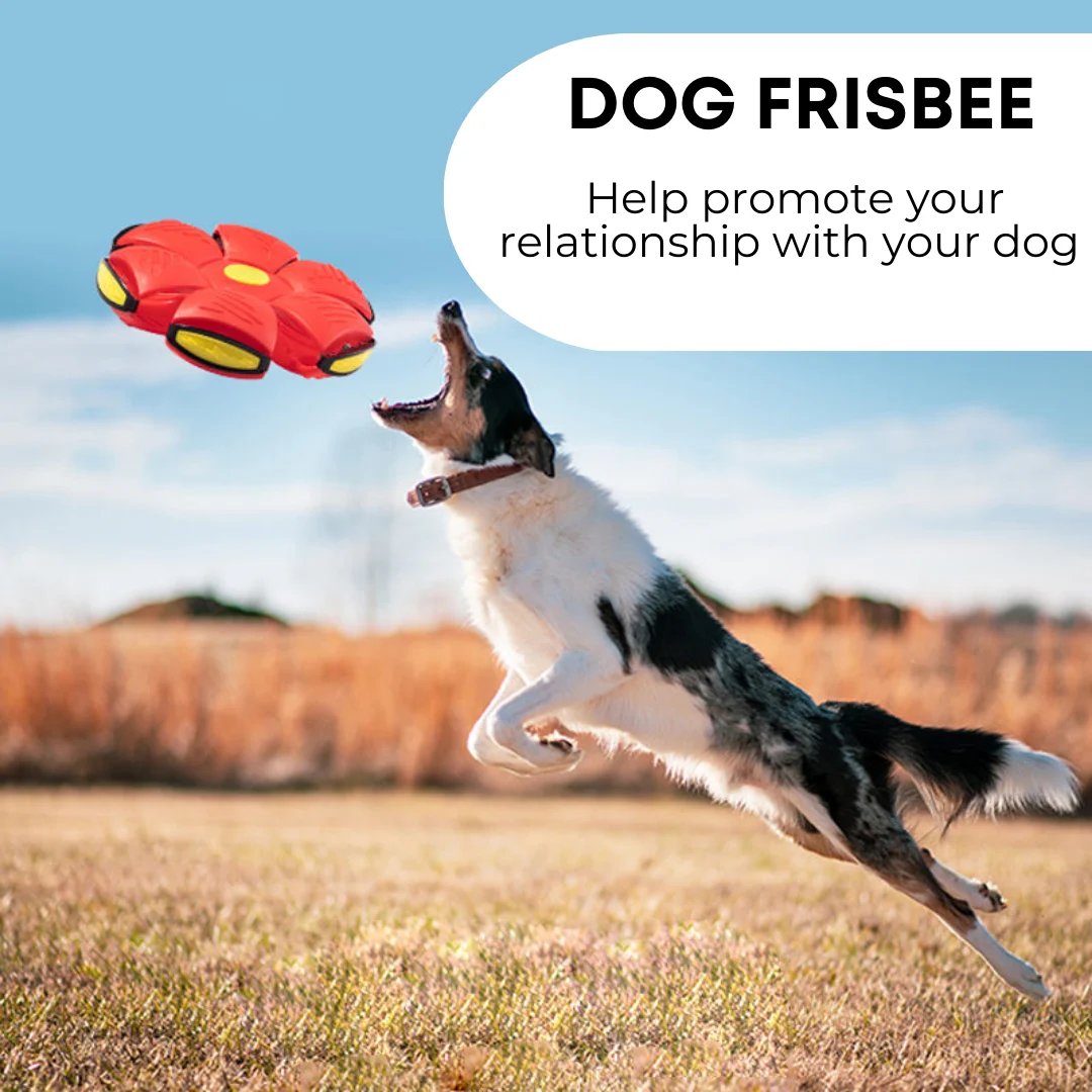 ⚡BIG SALE - Flying Saucer Ball Dog Toy