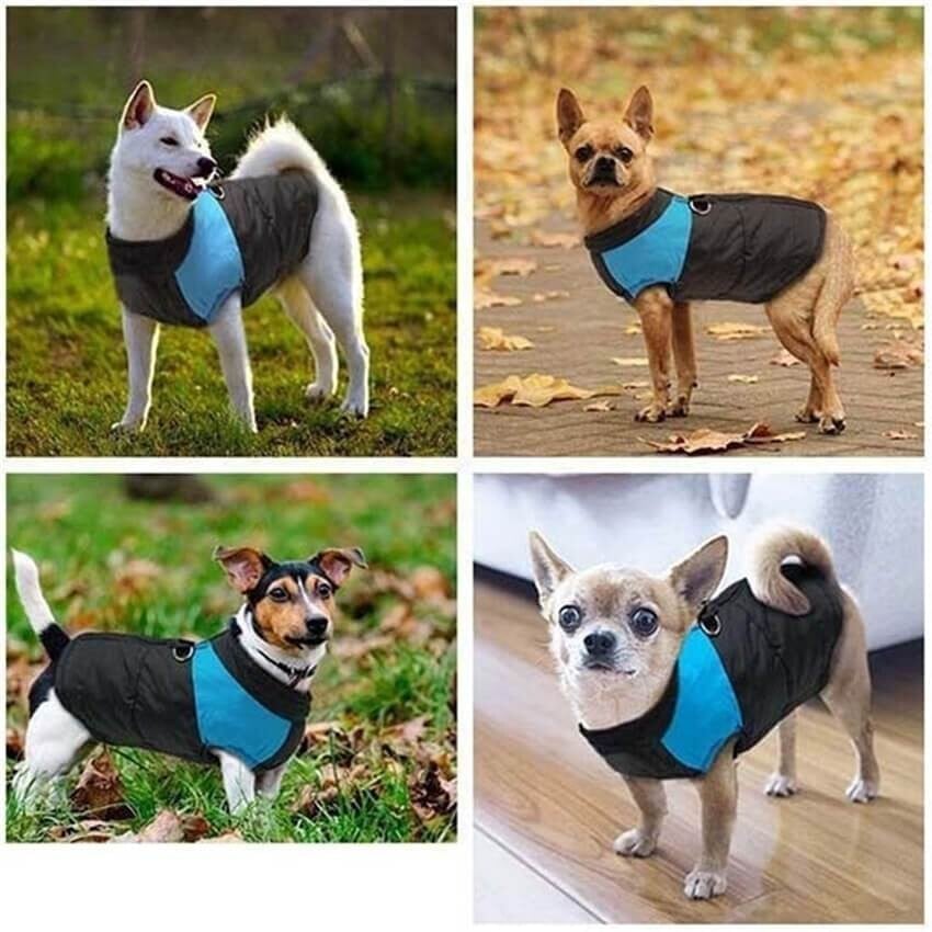 (🎅XMAS SALE - 49% OFF) Windproof Dog Winter Warm Vest⭐Keep Pets Warm This Winter🐶