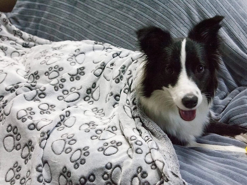 Cute Minimalist Fabric Footprint Pet Pad