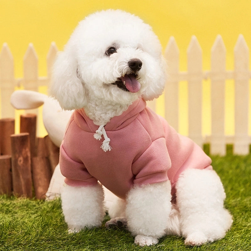Casual Polyester Solid Color Pet Clothing