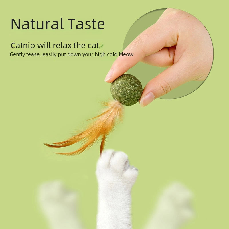 New Cat Mint Ball Cat Feather Toy Ball Cat Teeth Cleaning Molars Hair Removal Ball Cat Grass