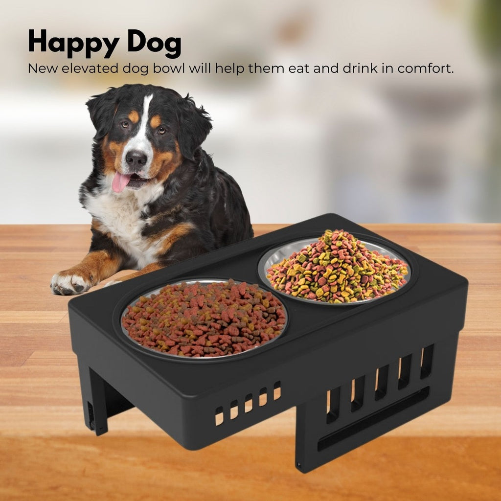 Elevated Double Bowl Pet Feeder