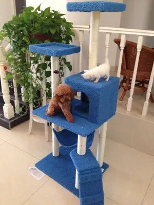 Climb & Scratch Cat Activity Center