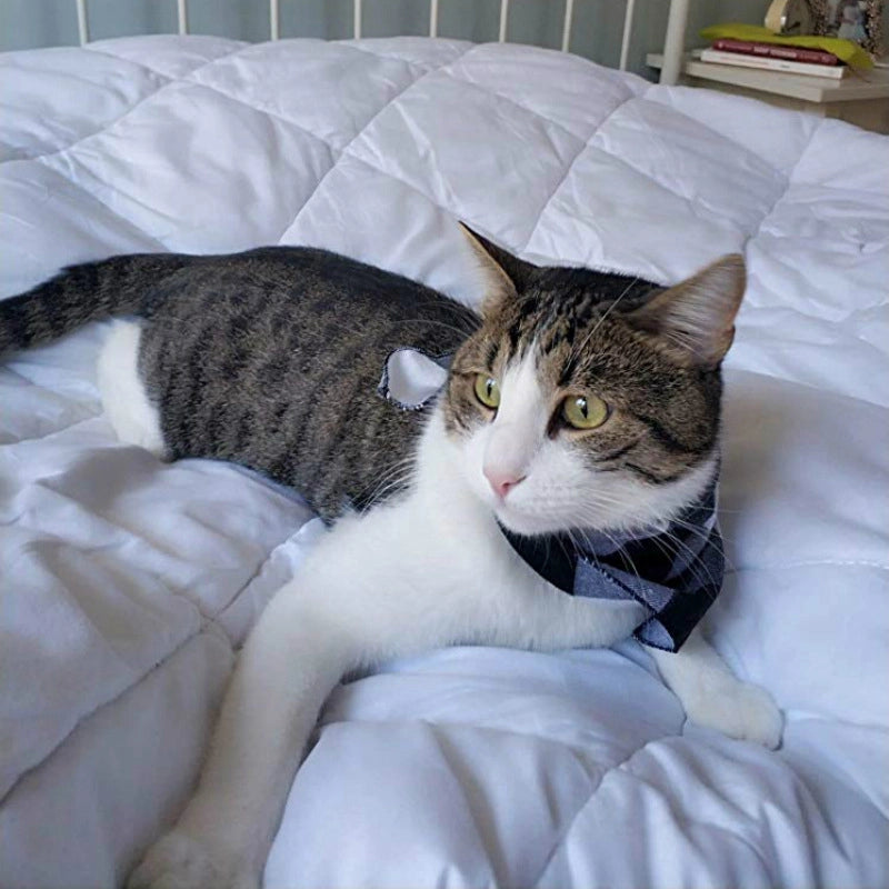 Pet Classic Plaid Triangle Slippery Towel Small Medium Dogs And Cats For Autumn And Winter Velvet Scarf
