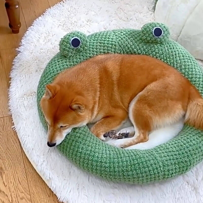 Adorable Frog Shape Wrapped Pet Bed Cat Cave