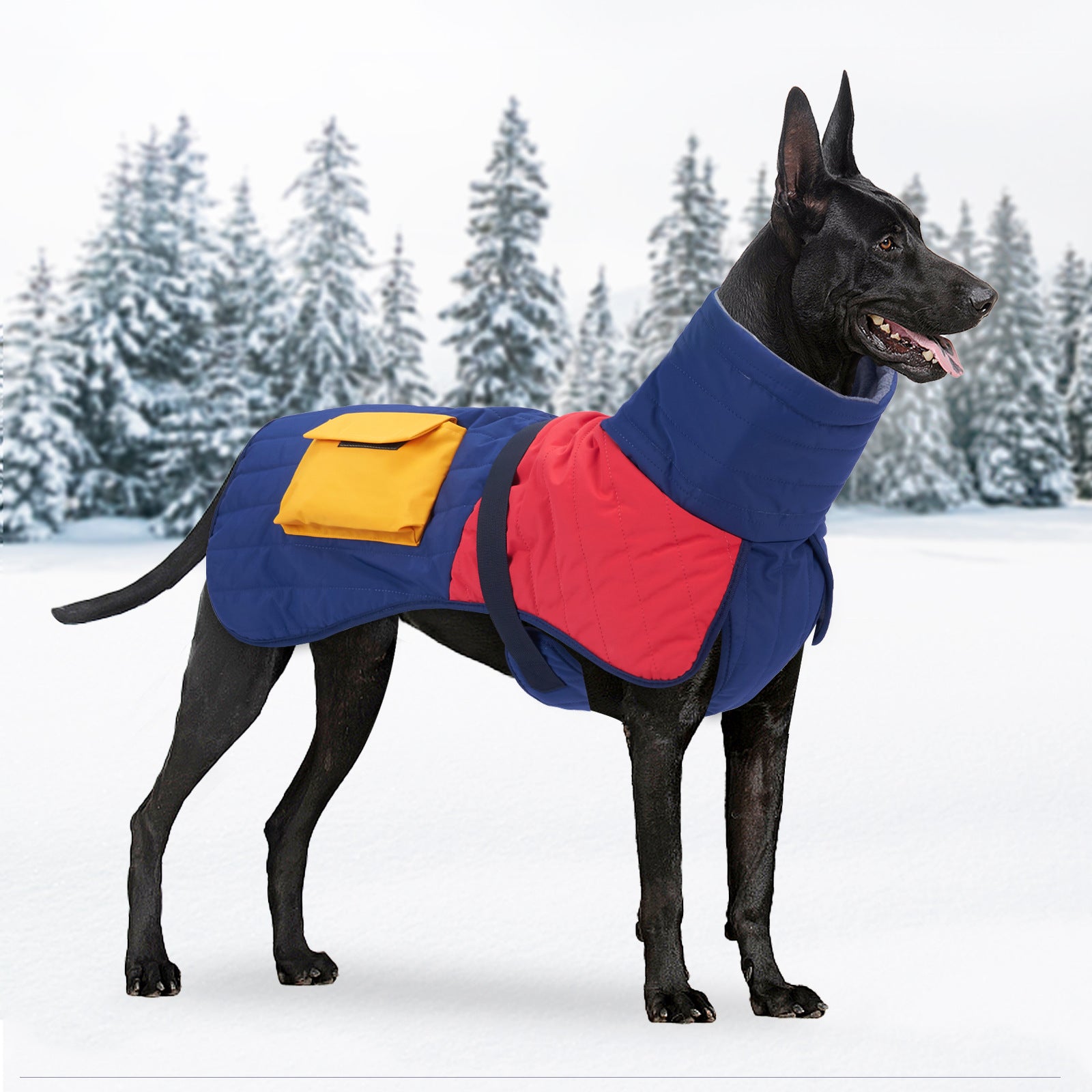 Beat the Chill: Winter Warrior Dog Coat