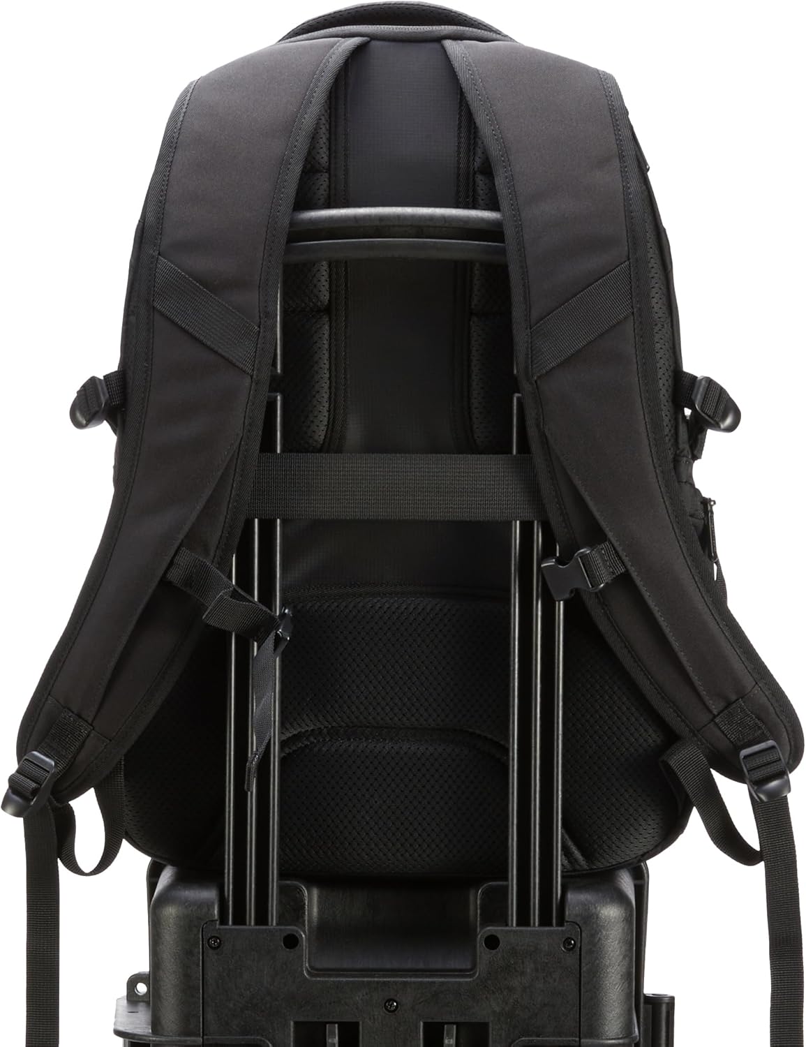 Amazon Basics Travel Laptop Backpack for 17 inch Laptop, Black