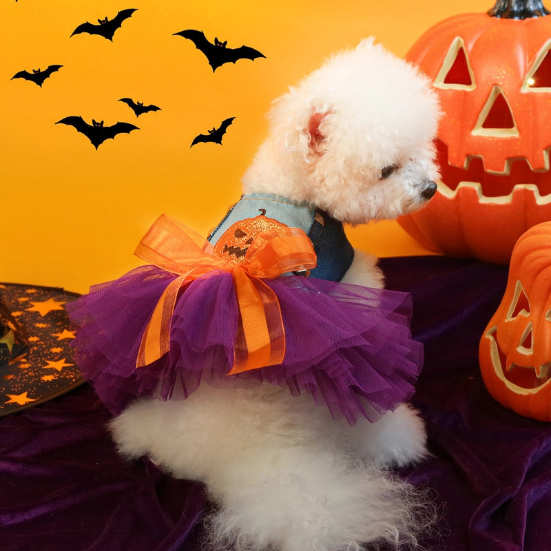 Casual Polyester Halloween Color Block Pet Clothing