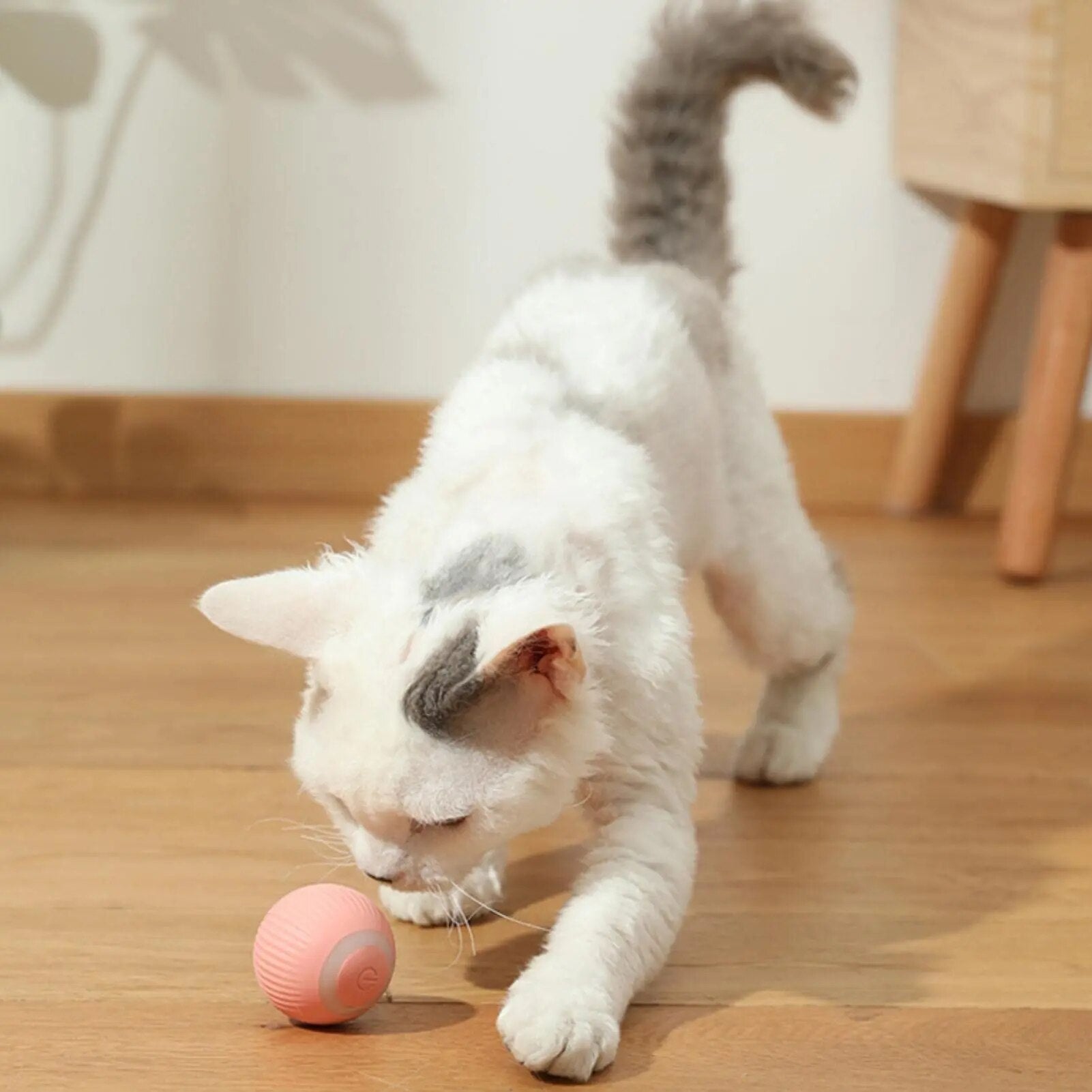 Smart Cat Toy?