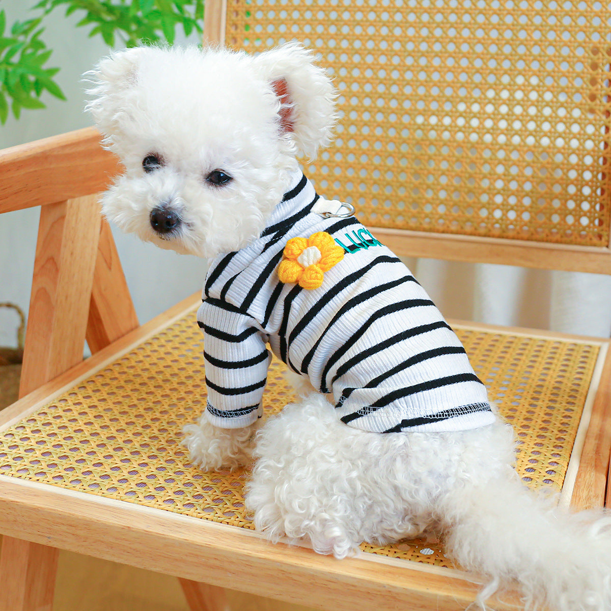 Lucky Flower Striped Dog Cat Tee Harness