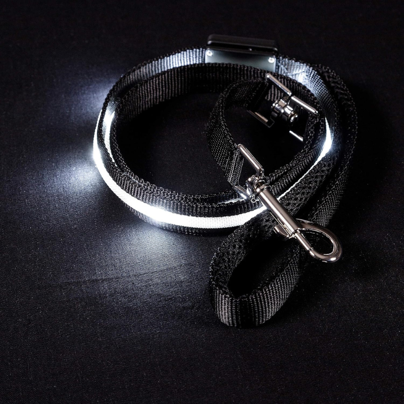 Pet Leash With USB Lighting