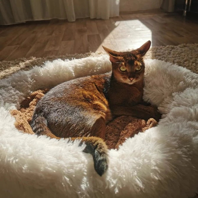 Comfy Calming Dog/Cat Bed