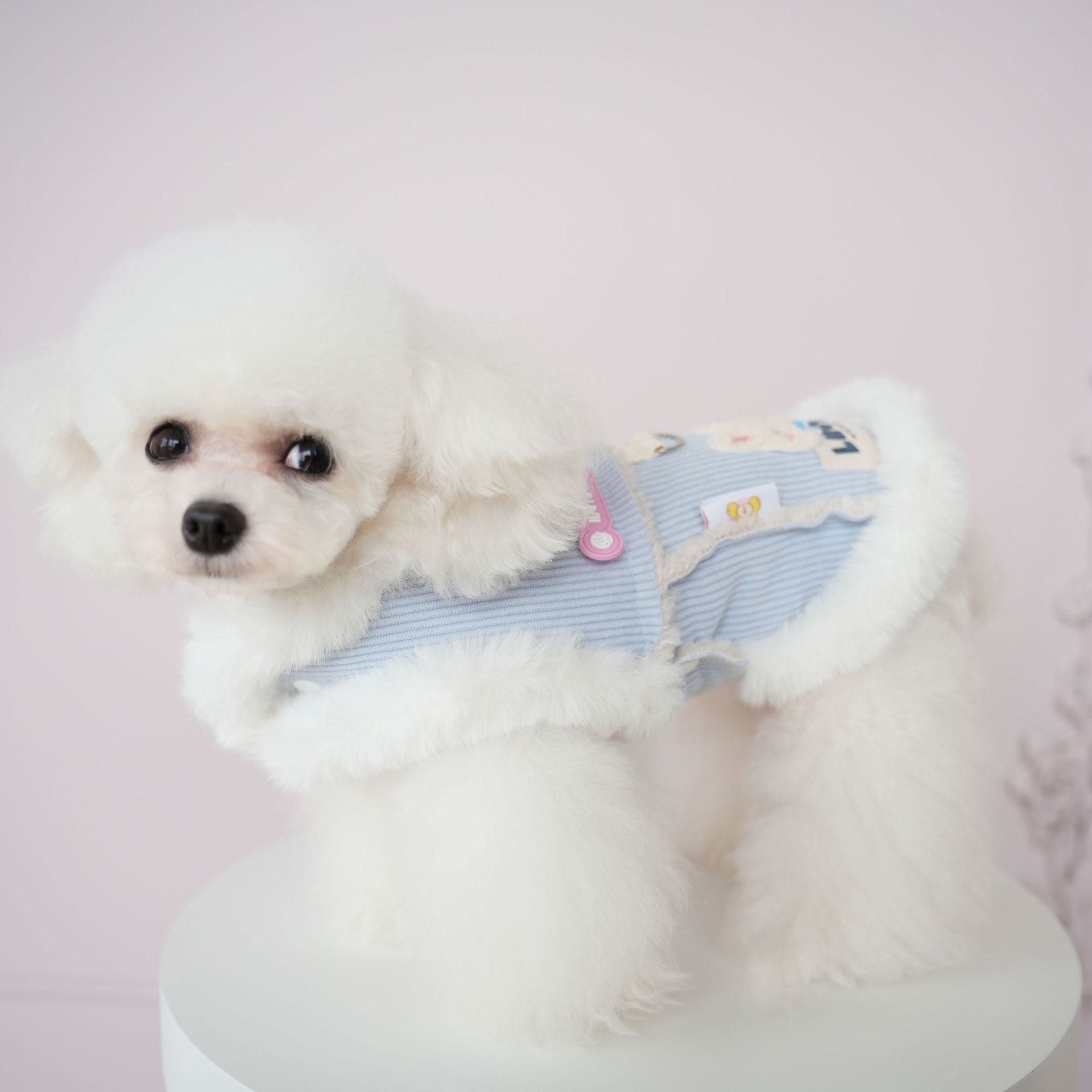 Furry Collar Rabbit Corduroy Dog Cat Jacket