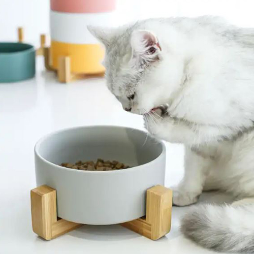 Ceramic Single feeding bowl