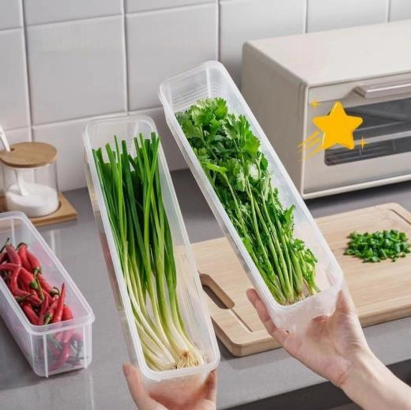 Minimalist Transparent Plastic Storage Box