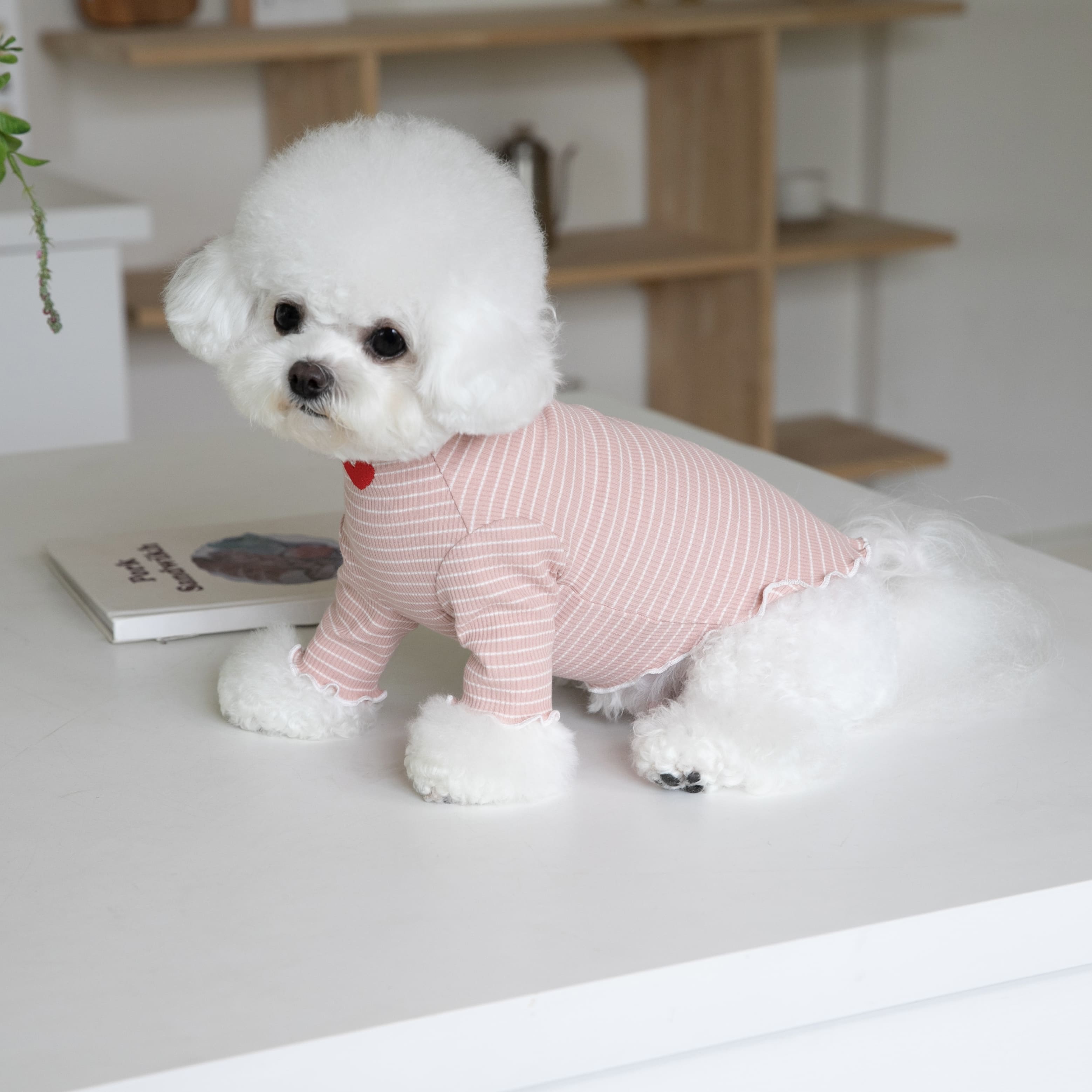 Heart Ruffled Striped Dog Cat Sweatshirt