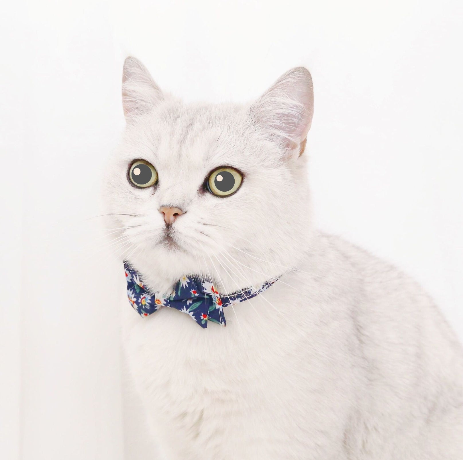 Adjustable Floral Bowtie Collar with Bell