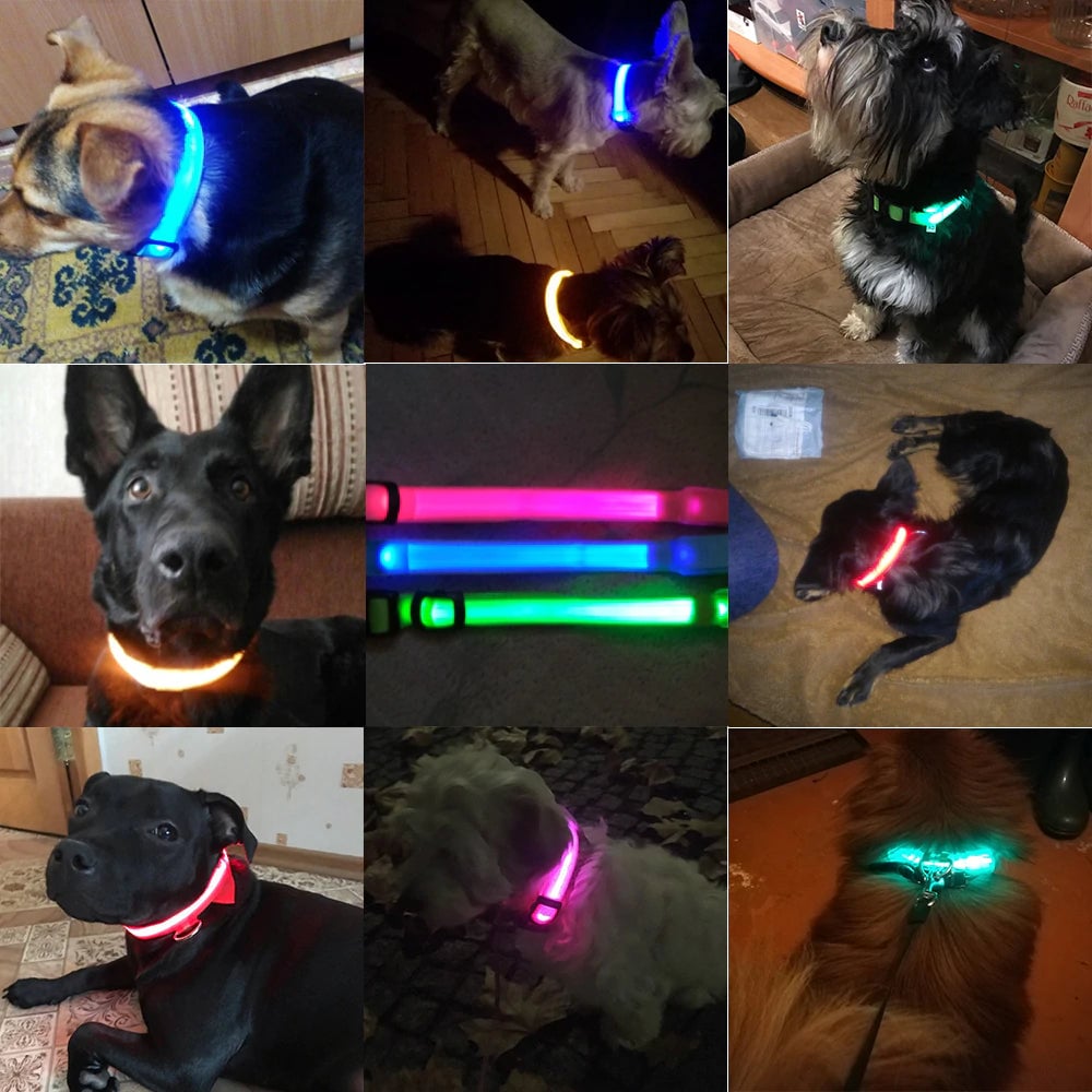 LED Dog Collar - USB Rechargeable - Glow In Dark