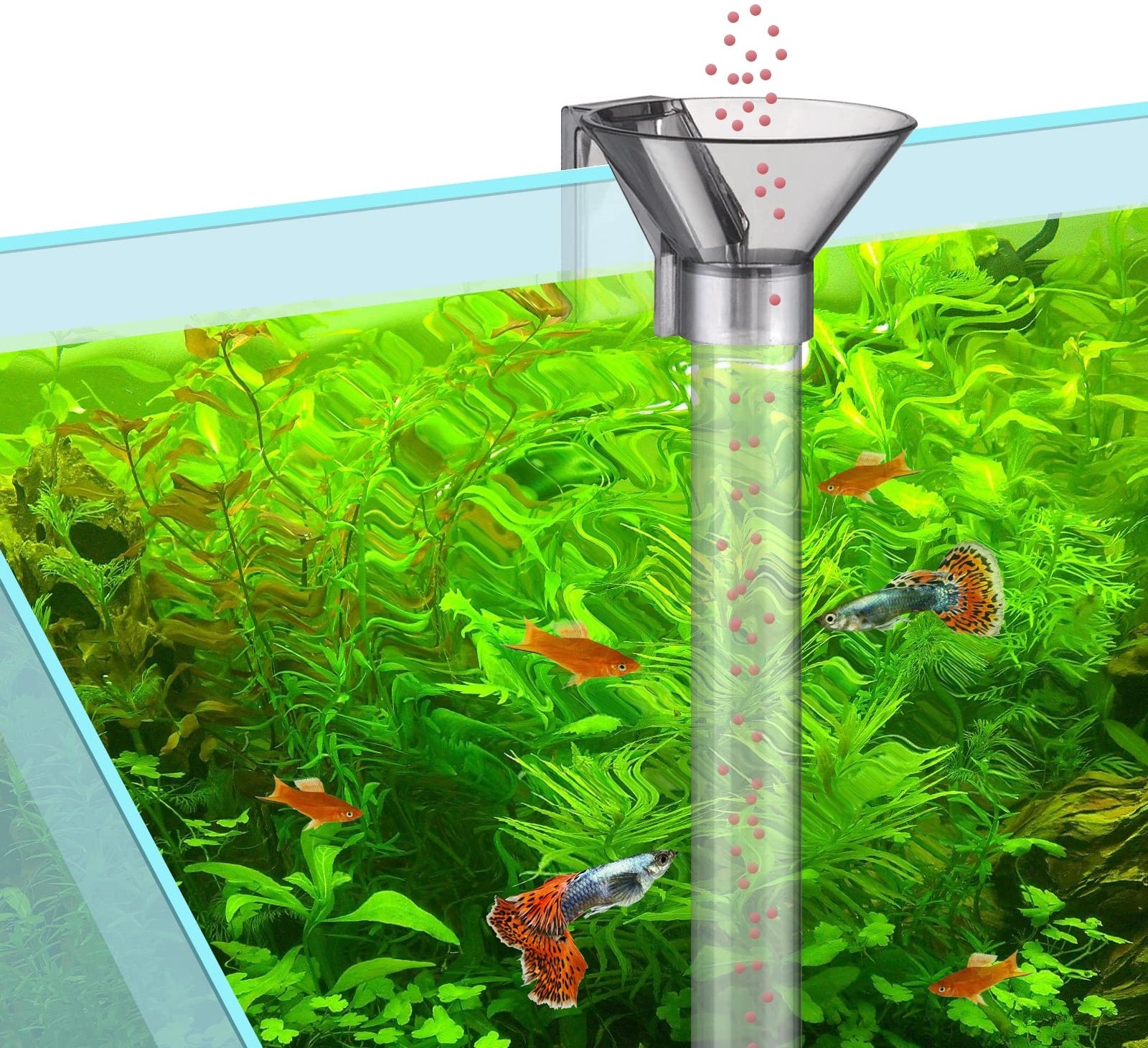 Fish Tank Directional Feeding Tube