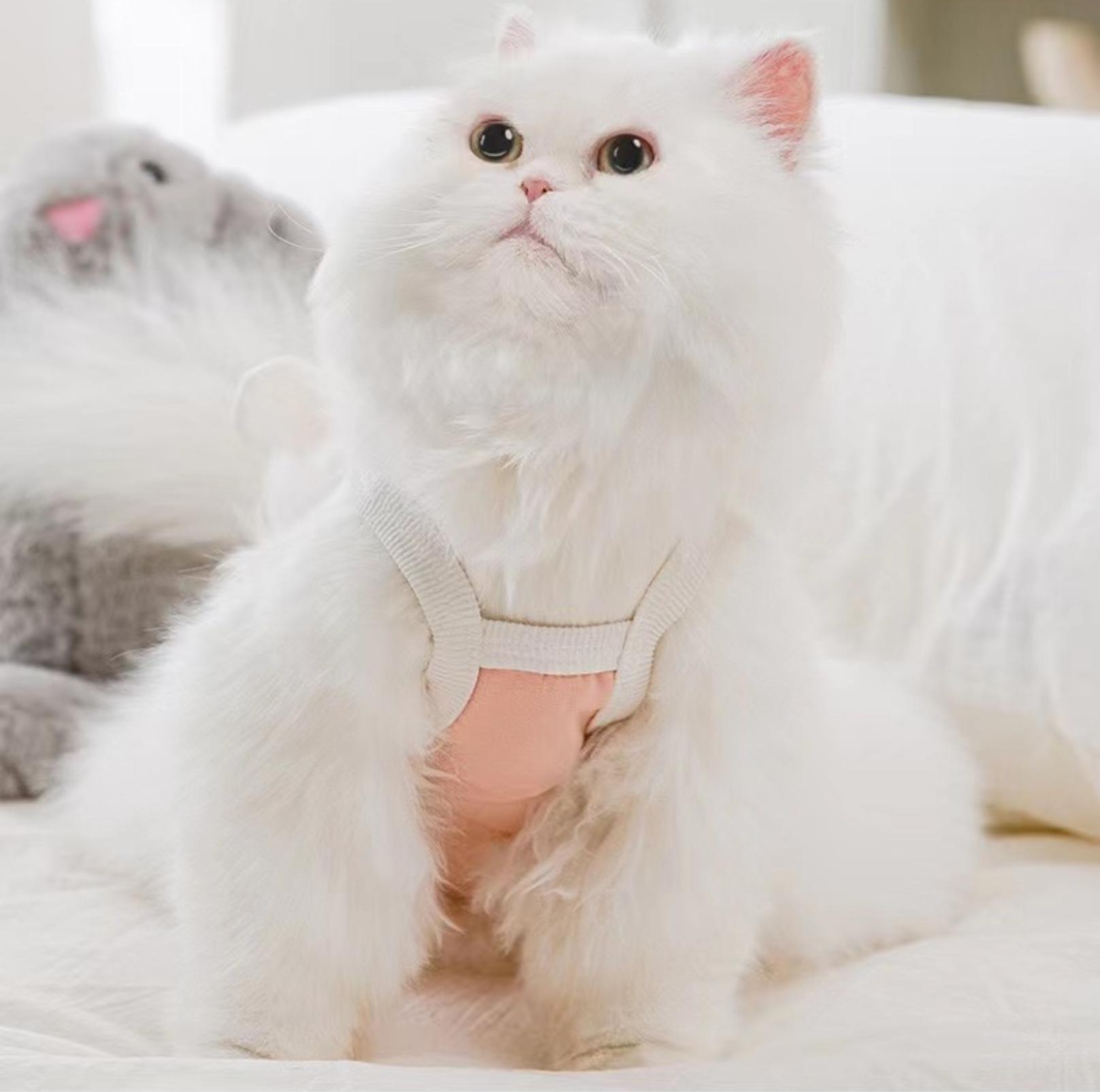 Adorable Bunny-Themed Pet Summer Vest