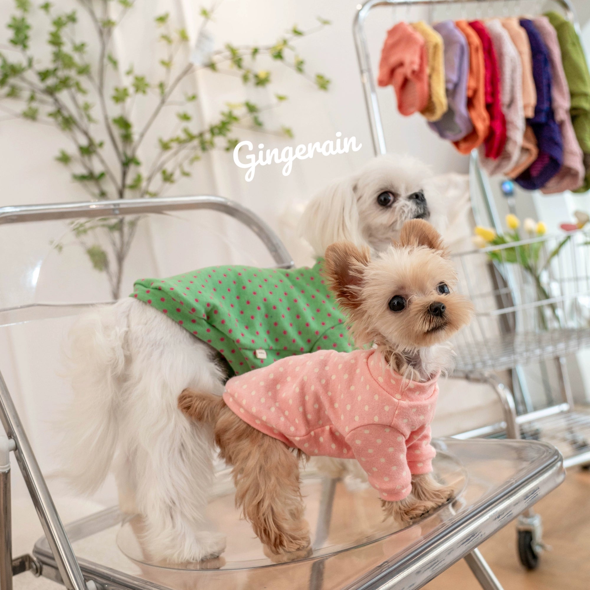 Polka Dot Cotton Dog Cat Long Sleeve Shirt