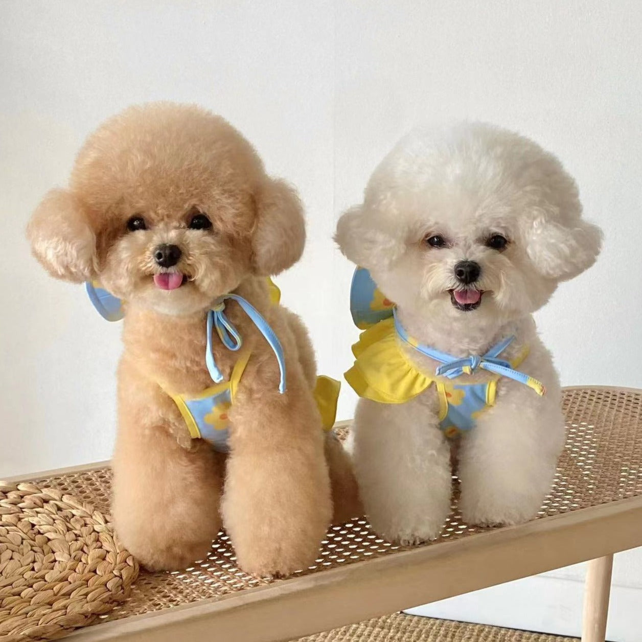 Summer Floral Dog Bikini with Hat