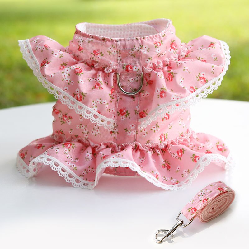 Cute Vest Harness And Leashes