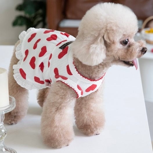 Sweet Heart Cotton Dog Cat Dress