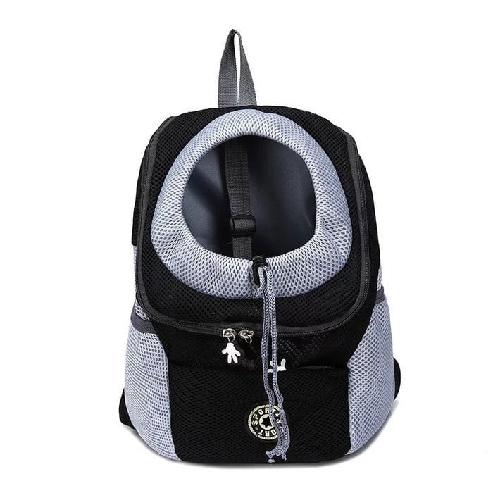 2022 Summer Dog Backpack