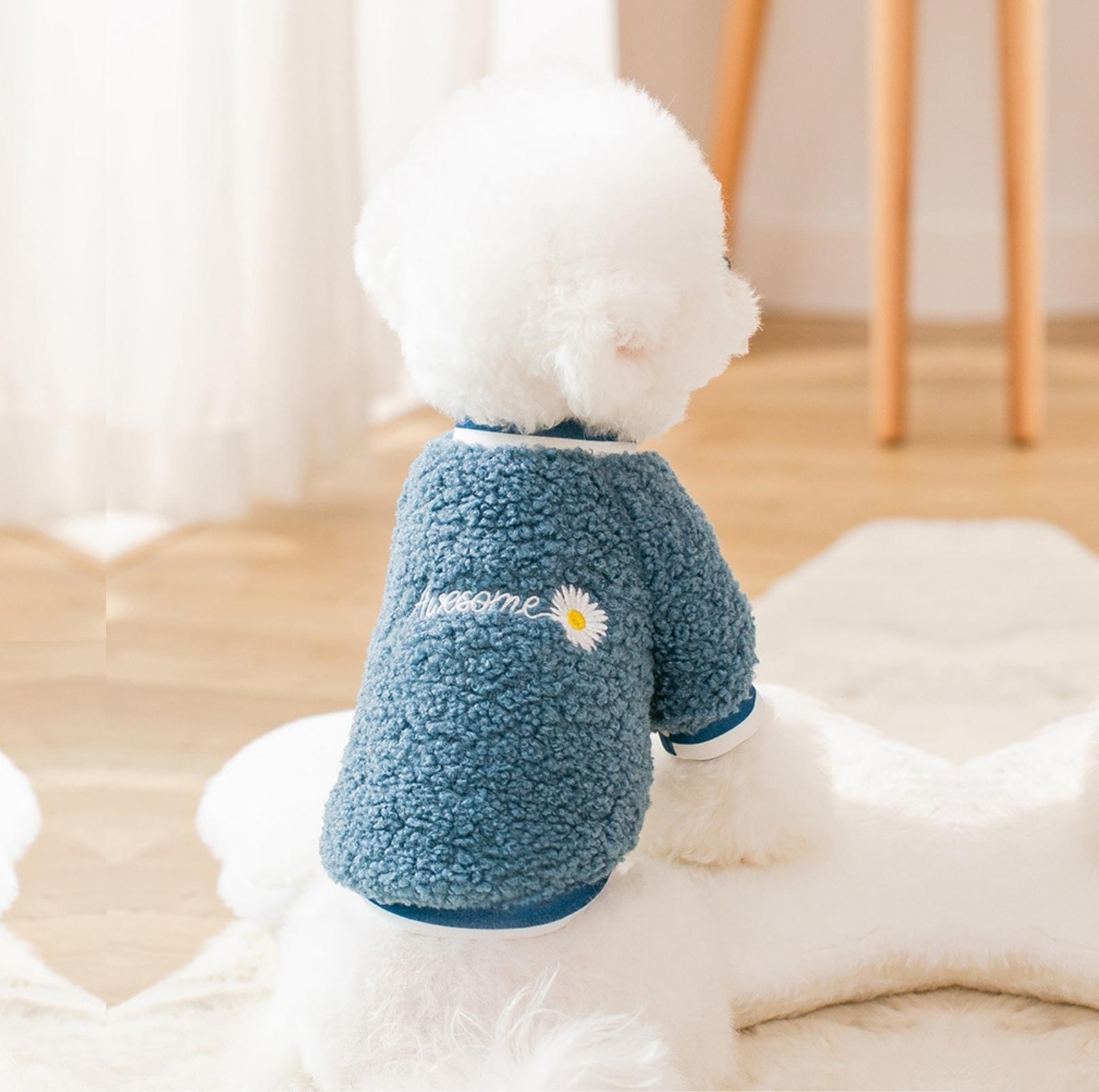 Daisy-Embroidered Wool Fleece Apparel for Dogs and Cats