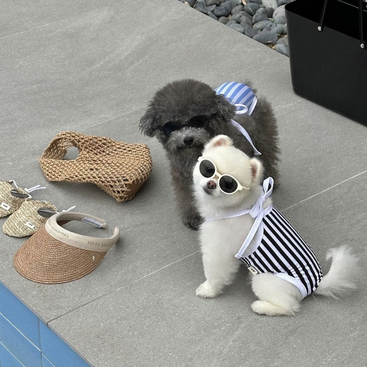 Striped Printed Dog Swimsuit