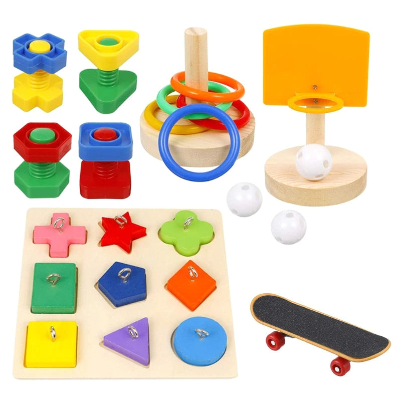 5 Pcs Bird Training Toys