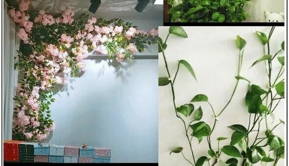 Plant Climbing Wall Fixture