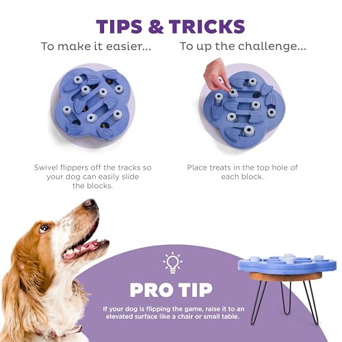 Outward Hound Nina Ottosson Dog Hide N' Slide Dog Puzzle Interactive Treat Puzzle Dog Enrichment Dog Toy. Level 2 Intermediate. Purple. Composite