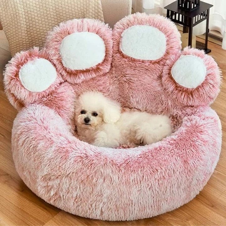 Plush Bear Paw Pet Bed