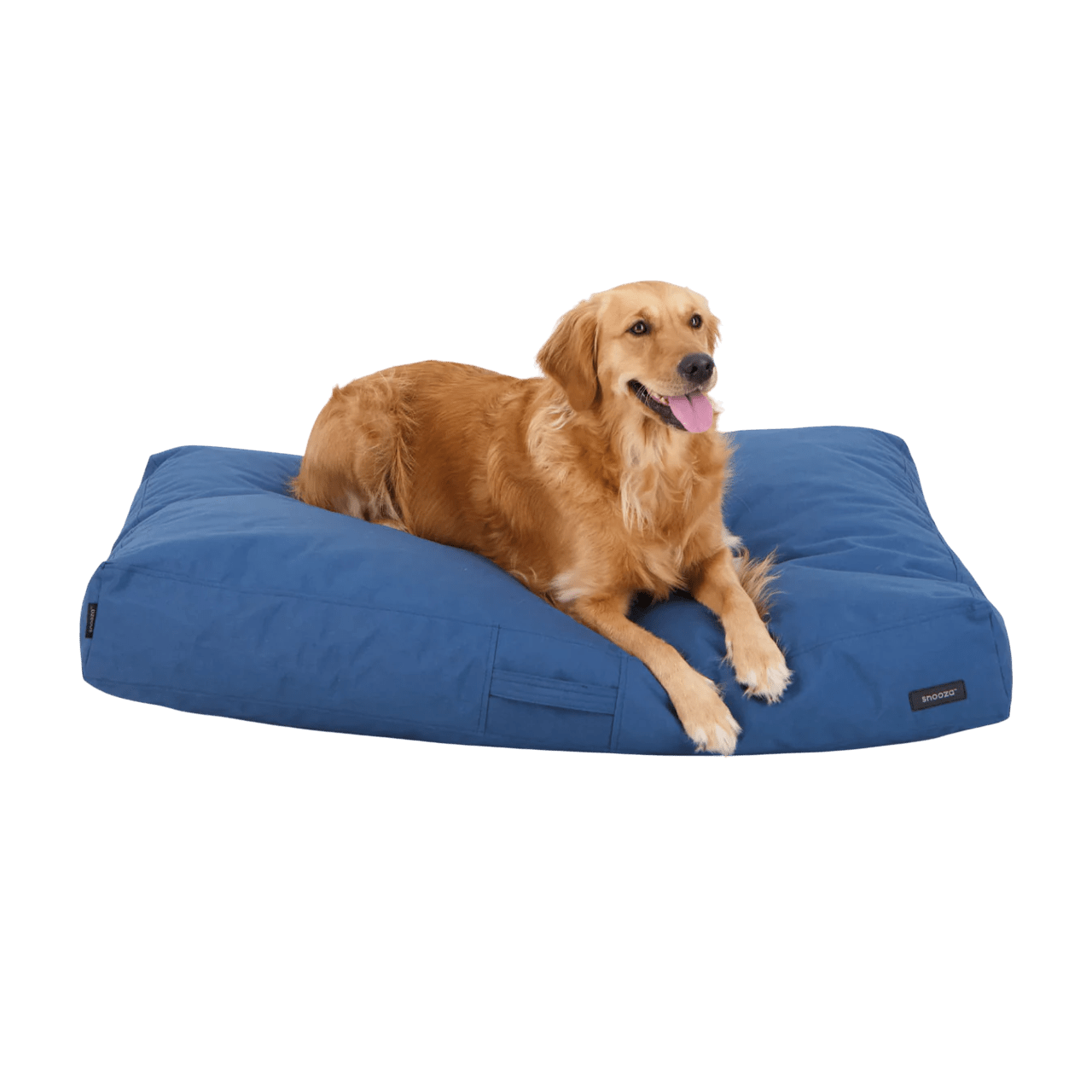Modern D1000 Outdoor Dog Bed - Marine