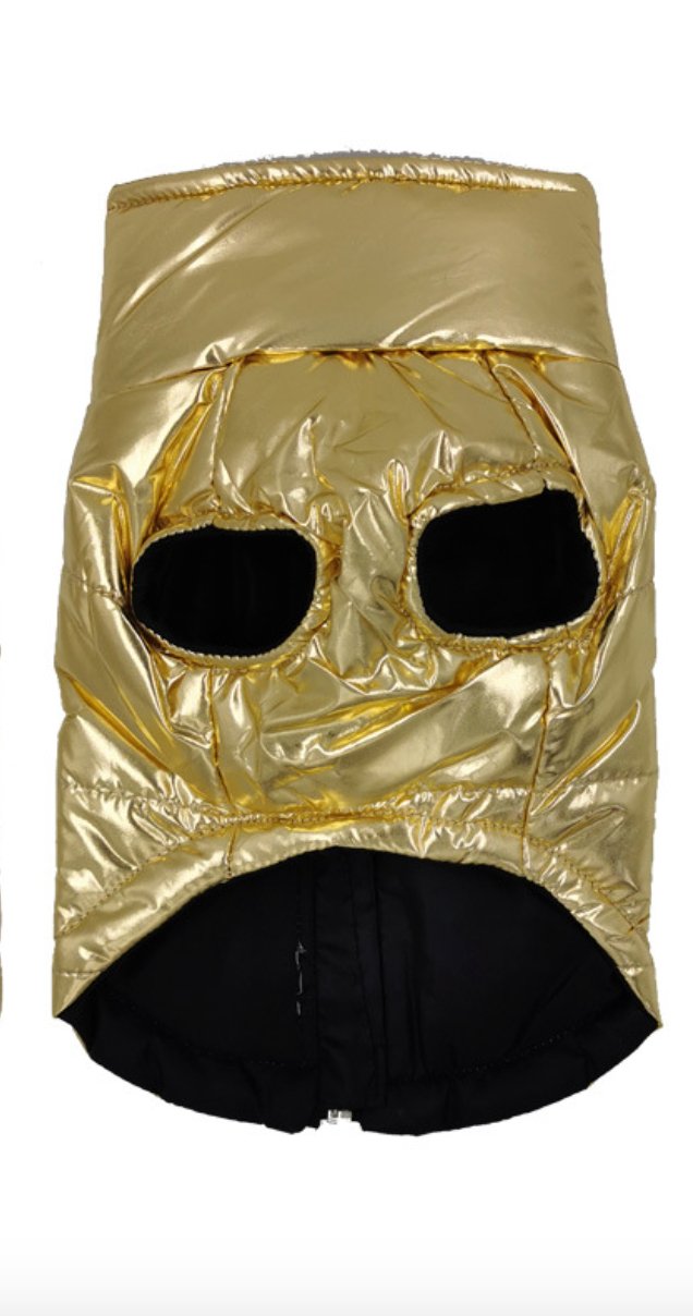 Gloss Dog Vest in Goldie