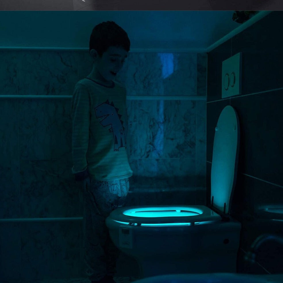Toilet Night Light With Motion Sensor
