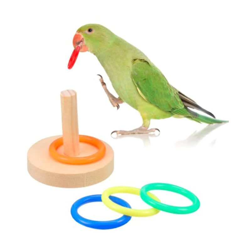 5 Pcs Bird Training Toys