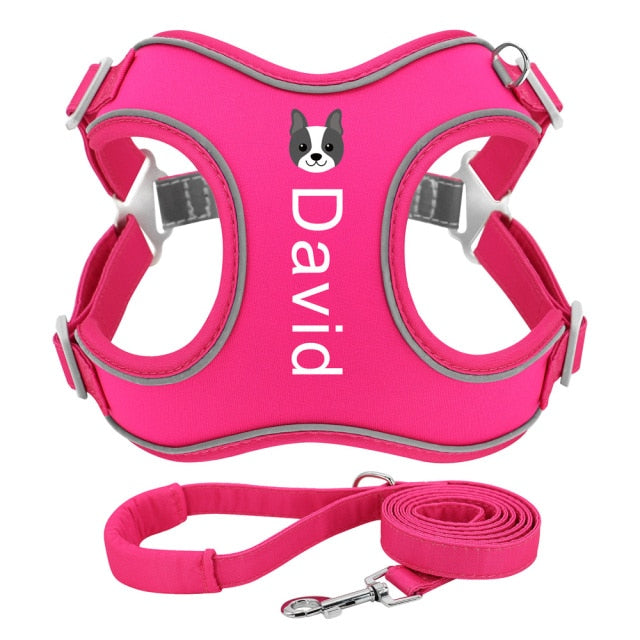 Name Custom Dog Harness Leash Set