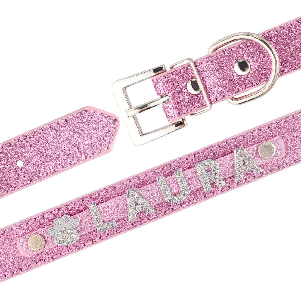 Personalized Dog Collar with Name