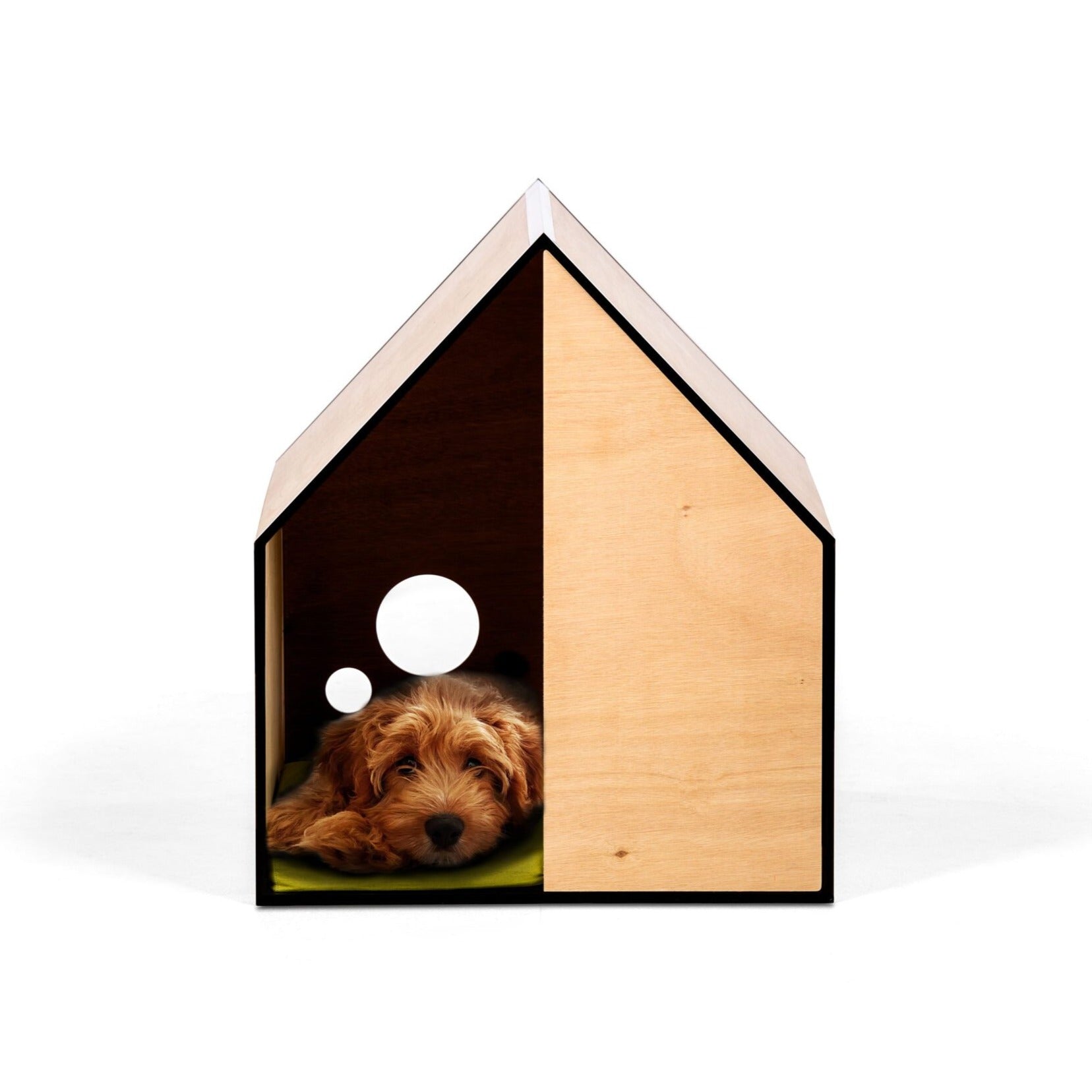 The Dog Room in Small