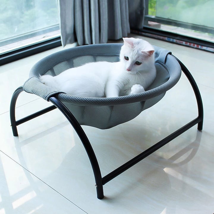 Floor Cat Hammock-With Stand (Buy 2 Free Shipping)