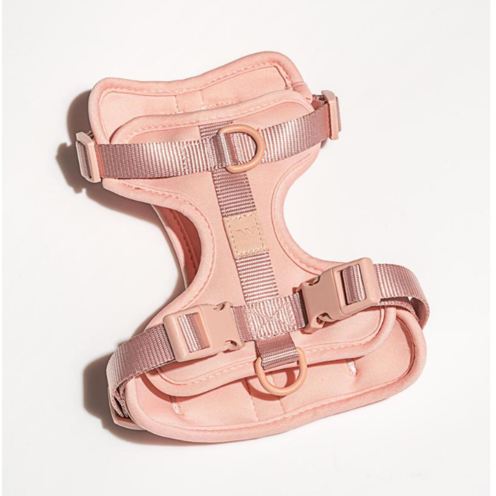 Wild One Dog Harness