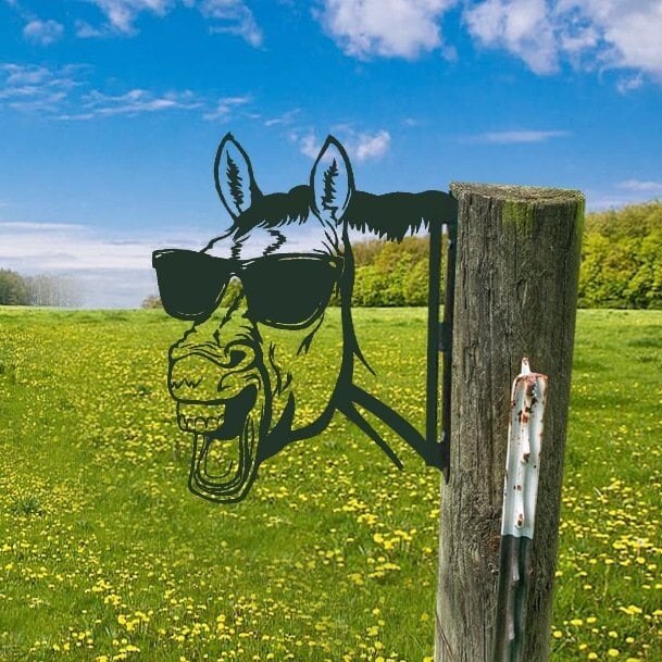 🔥Farm Peeping Animal Metal Art